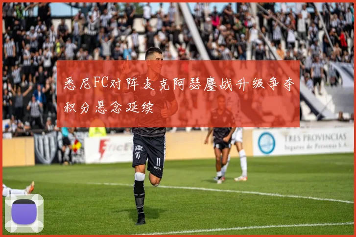 悉尼FC对阵麦克阿瑟鏖战升级争夺积分悬念延续